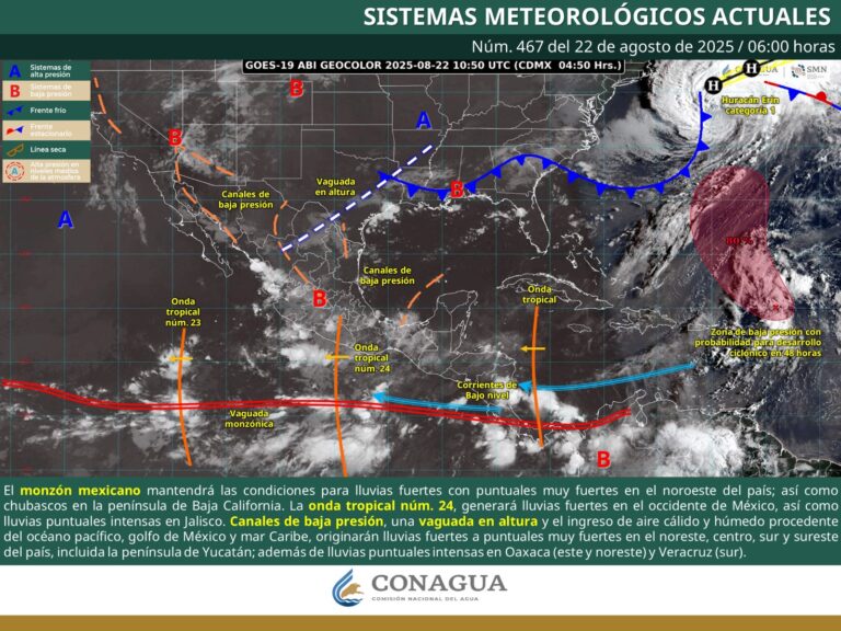 WhatsApp Image 2025-08-22 at 08.14.13