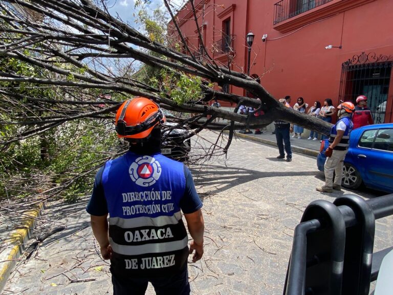 WhatsApp Image 2025-08-22 at 13.59.10 (2)