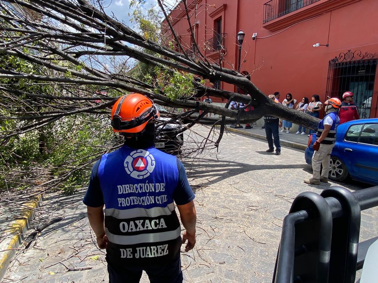 WhatsApp Image 2025-08-22 at 13.59.10 (2)