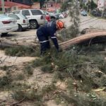 WhatsApp Image 2025-09-02 at 16.57.57