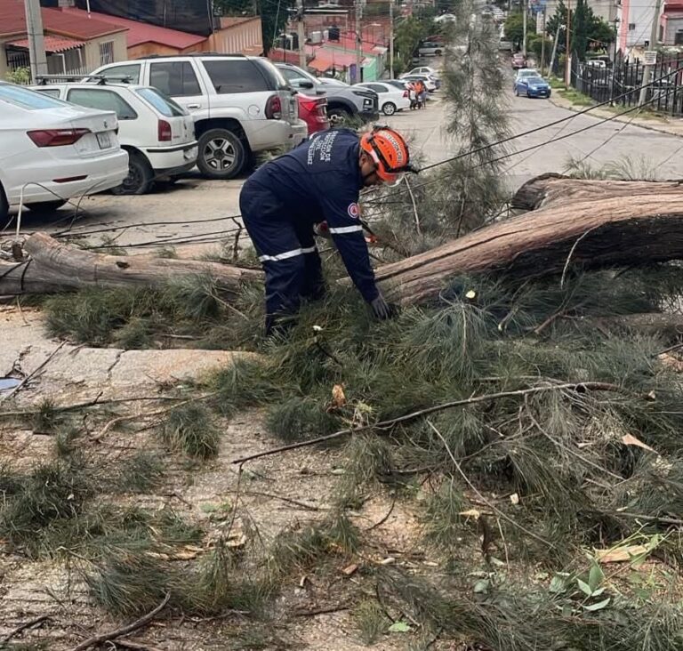 WhatsApp Image 2025-09-02 at 16.57.57