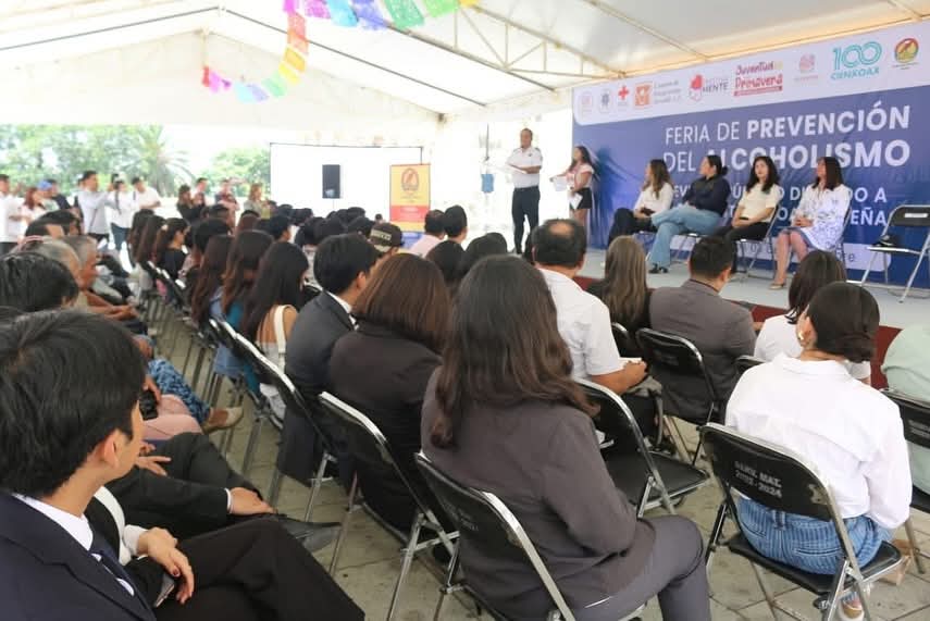 WhatsApp Image 2025-09-03 at 15.16.34