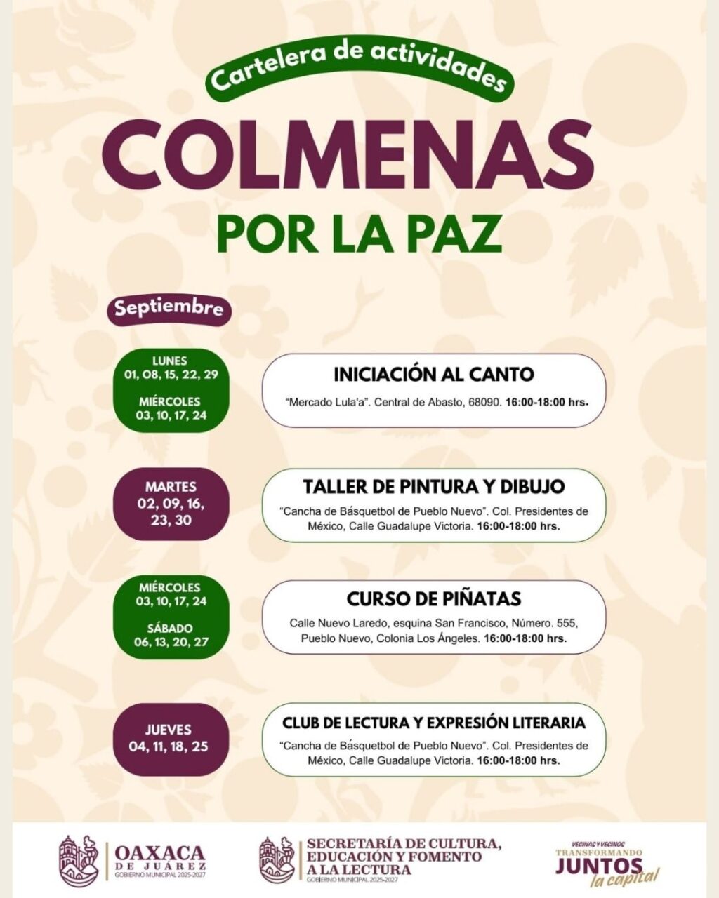 WhatsApp Image 2025-09-05 at 13.14.46