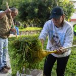 WhatsApp Image 2025-09-06 at 11.25.15