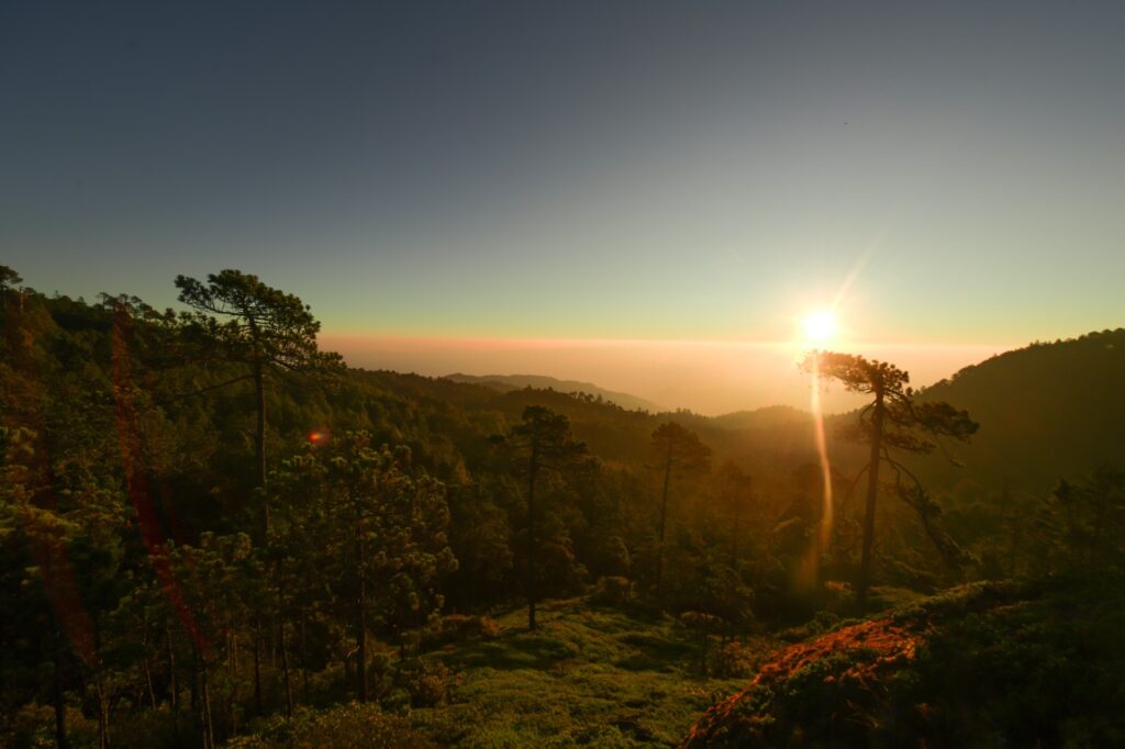 Pueblos Mancomunados de Oaxaca nominados en los Premios Excelencias 2025 Sectur Estatal 1
