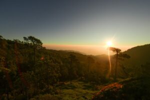Pueblos Mancomunados de Oaxaca nominados en los Premios Excelencias 2025 Sectur Estatal 1