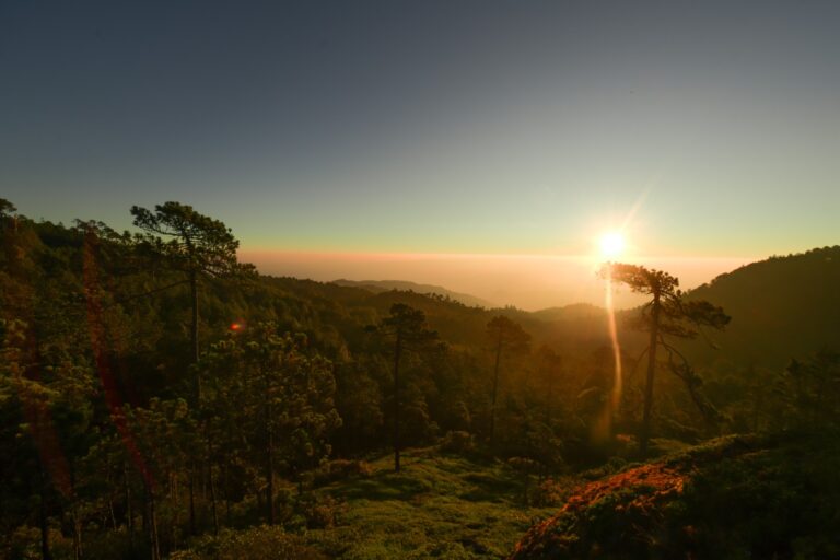 Pueblos Mancomunados de Oaxaca nominados en los Premios Excelencias 2025 Sectur Estatal 1